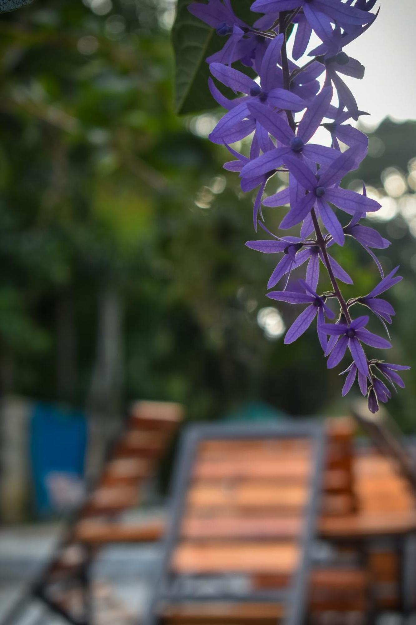 Villa Tranquil Kandy Peradeniya Εξωτερικό φωτογραφία