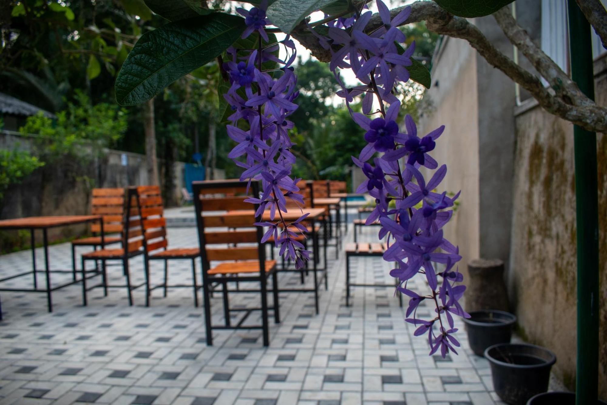 Villa Tranquil Kandy Peradeniya Εξωτερικό φωτογραφία